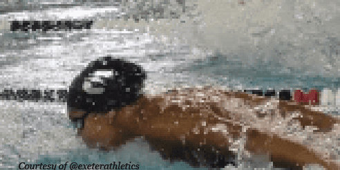 Highlight: Varsity Swimming